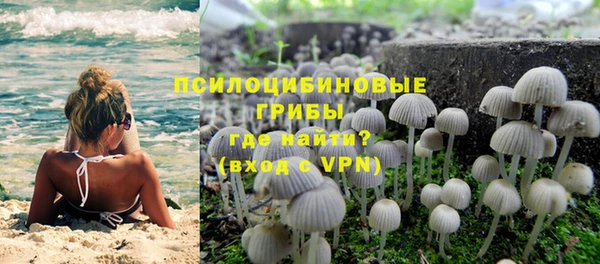винт Баксан