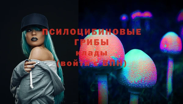 винт Баксан