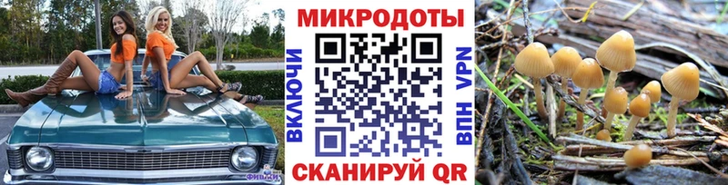 Галлюциногенные грибы прущие грибы  хочу   Удачный 